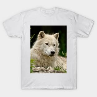 Arctic Wolf T-Shirt